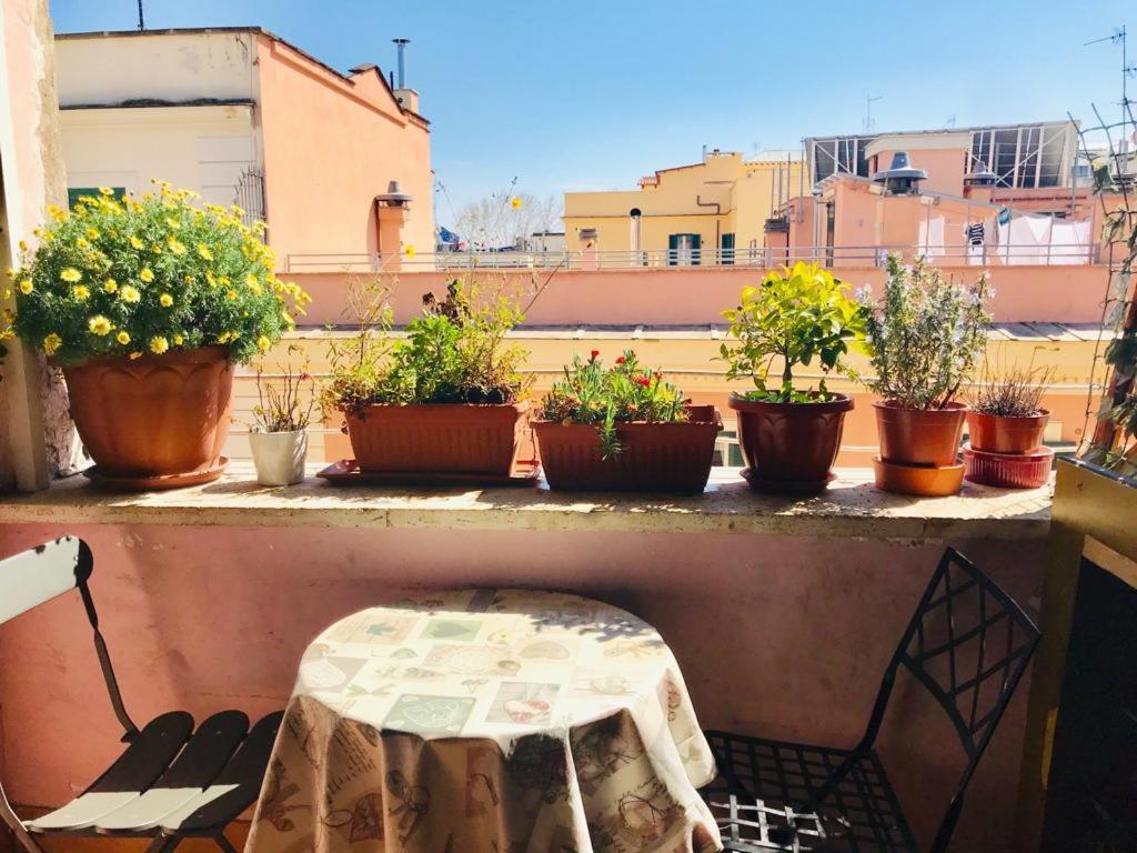 Green Guesthouse Rome Exterior photo