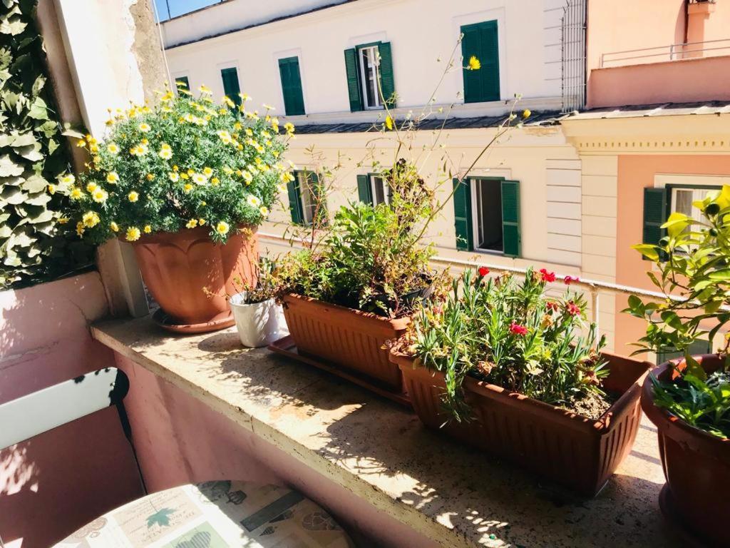 Green Guesthouse Rome Exterior photo
