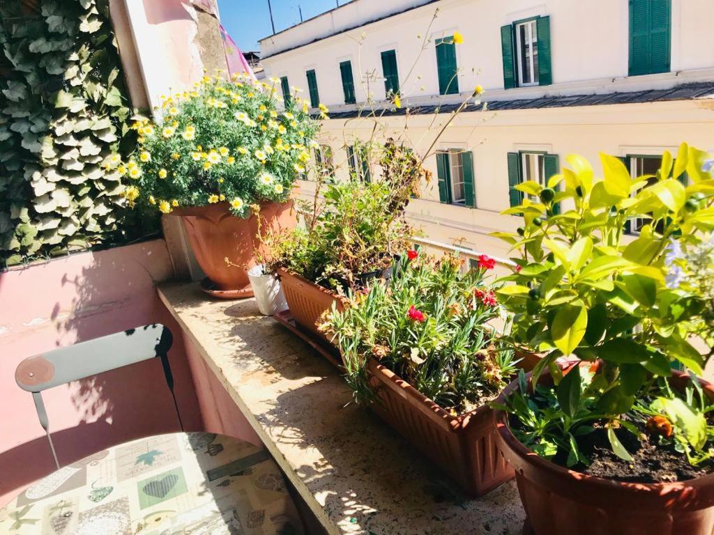Green Guesthouse Rome Exterior photo