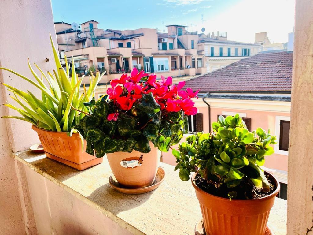 Green Guesthouse Rome Exterior photo