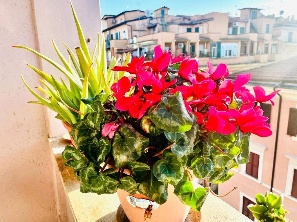 Green Guesthouse Rome Exterior photo